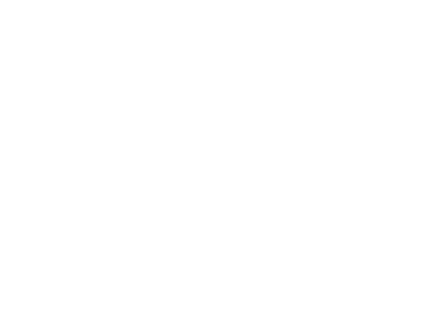 车用品