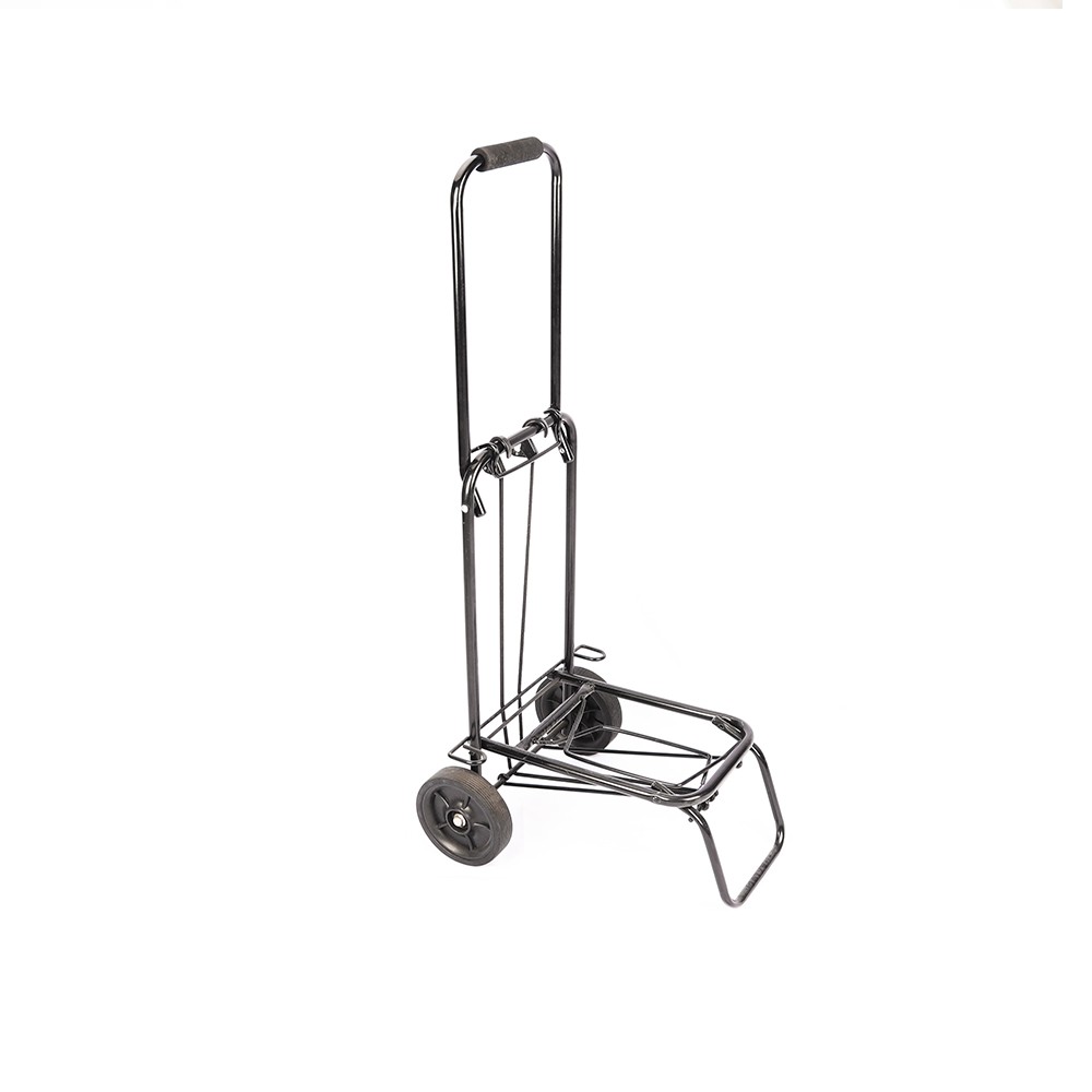 CH-E101-02